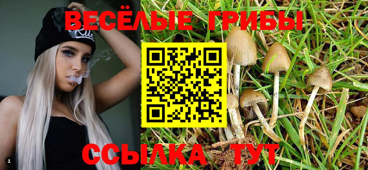 Галлюциногенные грибы мухоморы Кулебаки
