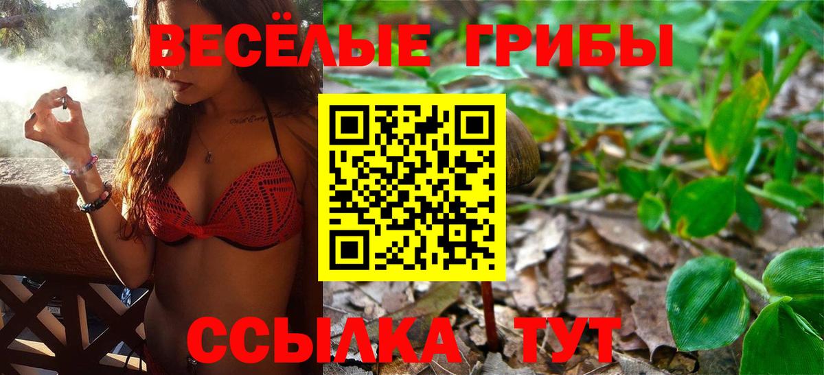 Галлюциногенные грибы Psilocybine cubensis  Вход с VPN  Кулебаки 